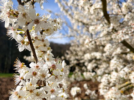 23-03-17 10-40-30 4880